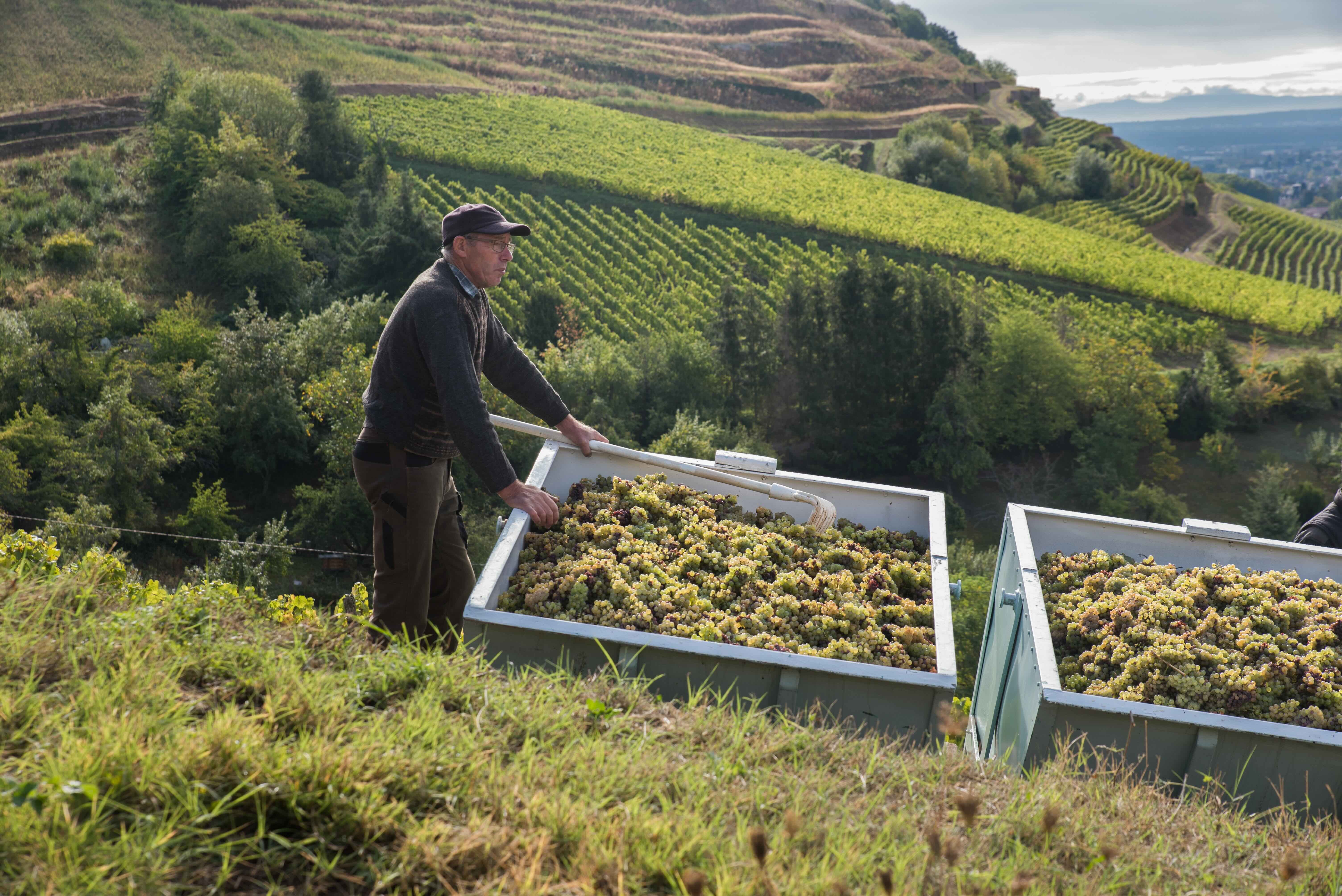 L'homme et la nature : indissociables au Domaine Schlumberger !